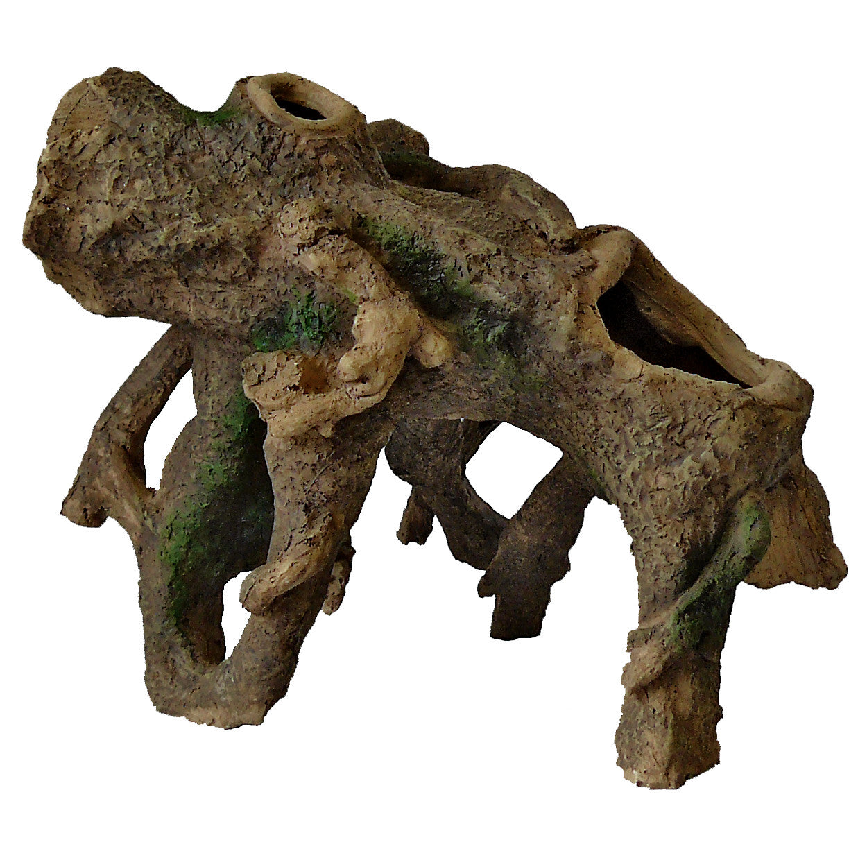 Superfish Deco Standing Root
