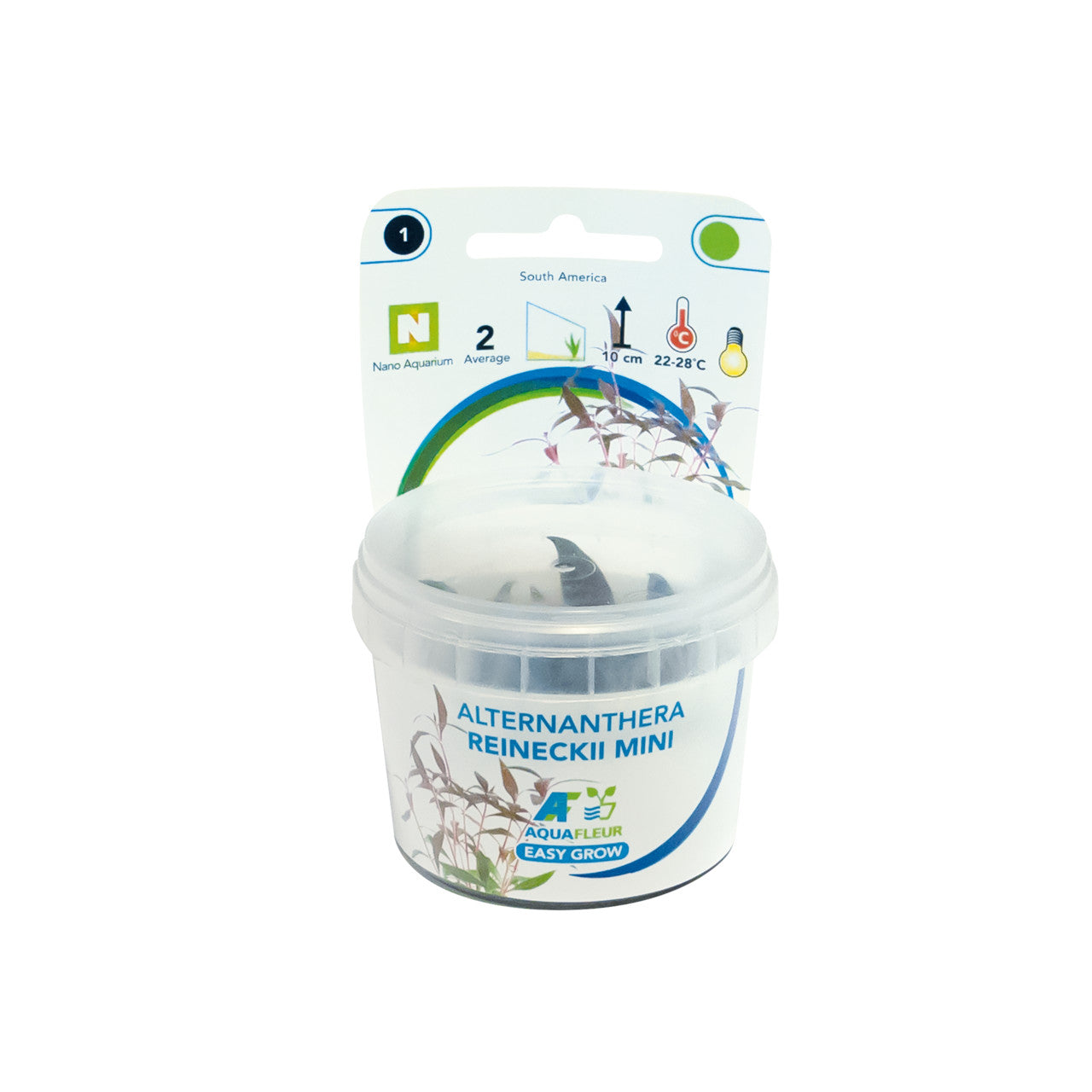 Aquafleur Alternanthera reineckii Easy Grow