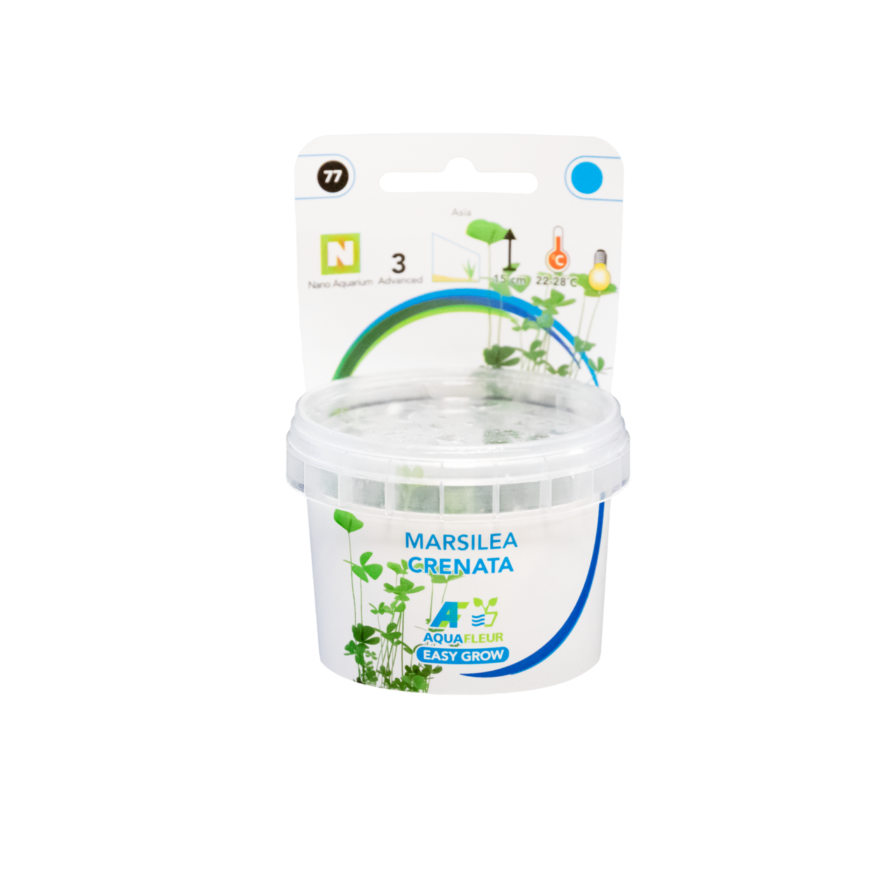 Aquafleur Marsilea crenata Easy Grow
