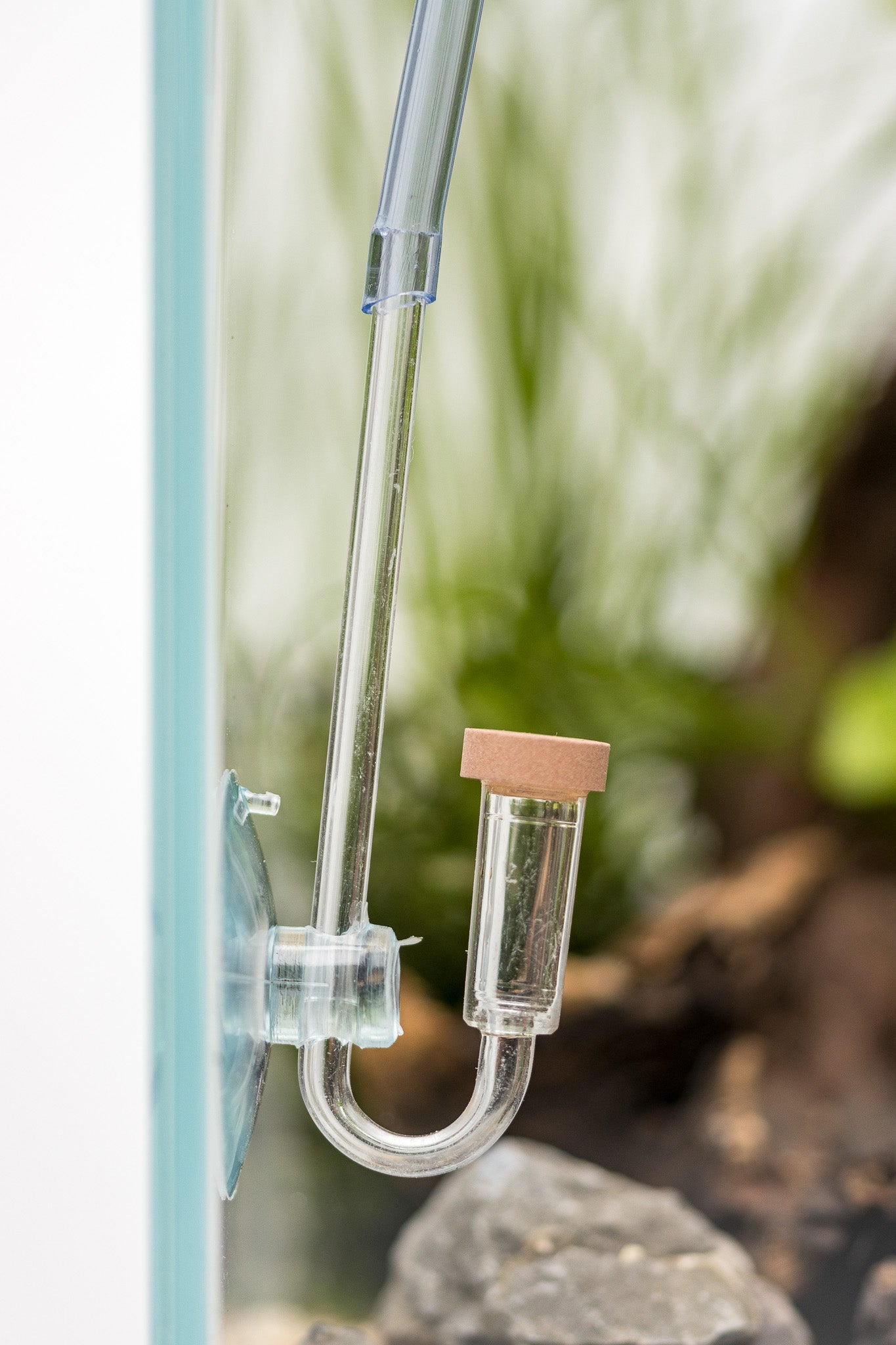 Dennerle Plants CO2 Starter Kit