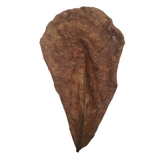 Ceramic Nature Catappa Leaves M