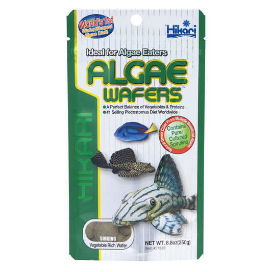 Hikari Algae Wafers