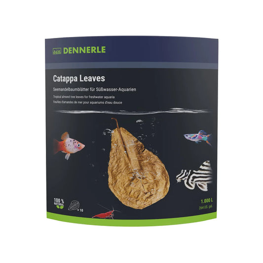 Dennerle Catappa Leaves