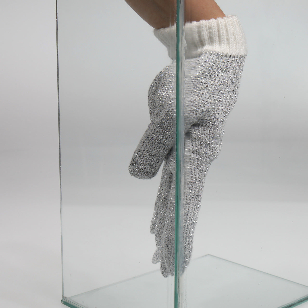 JBL ProScape Cleaning Glove