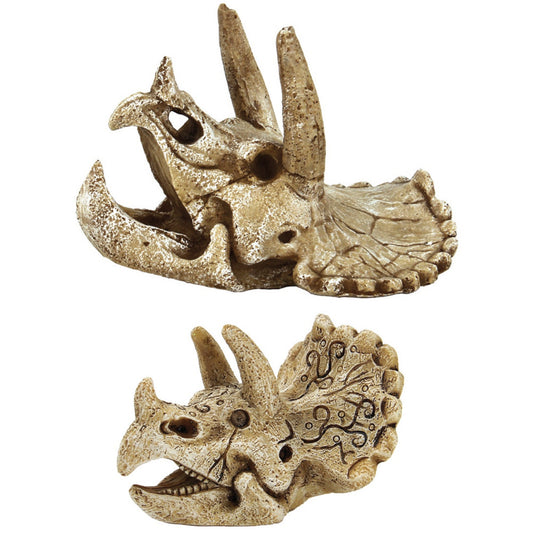 Superfish Skull Triceratops