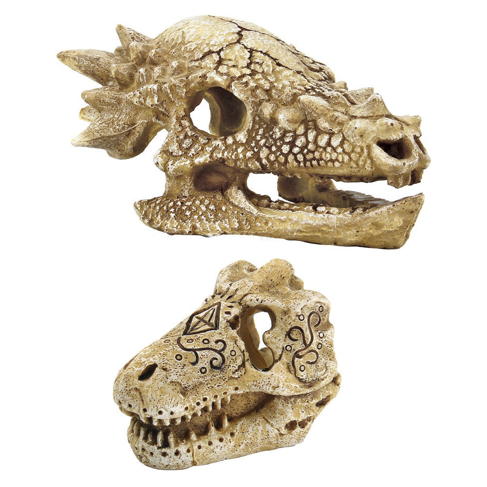 Superfish Skull T-Rex