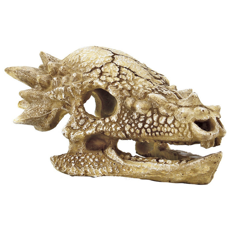 Superfish Skull T-Rex