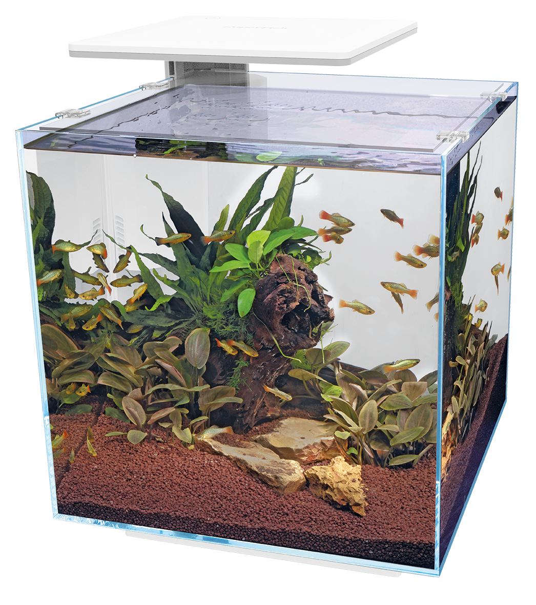 Superfish Qubiq 60 Pro LED