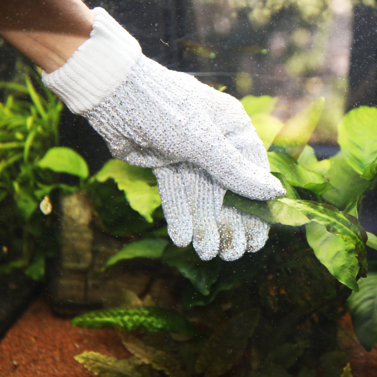JBL ProScape Cleaning Glove