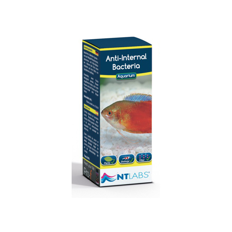 NT Labs Anti-Internal Bacteria