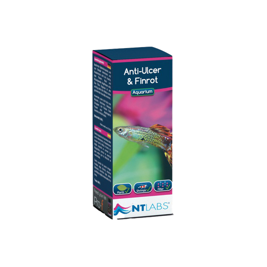 NT Labs Anti-Ulcer & Finrot