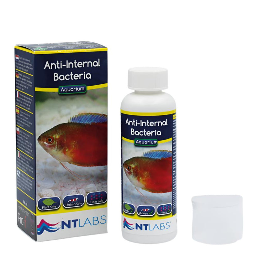 NT Labs Anti-Internal Bacteria - Aquarium Fish Treatment – Aquascaping ...