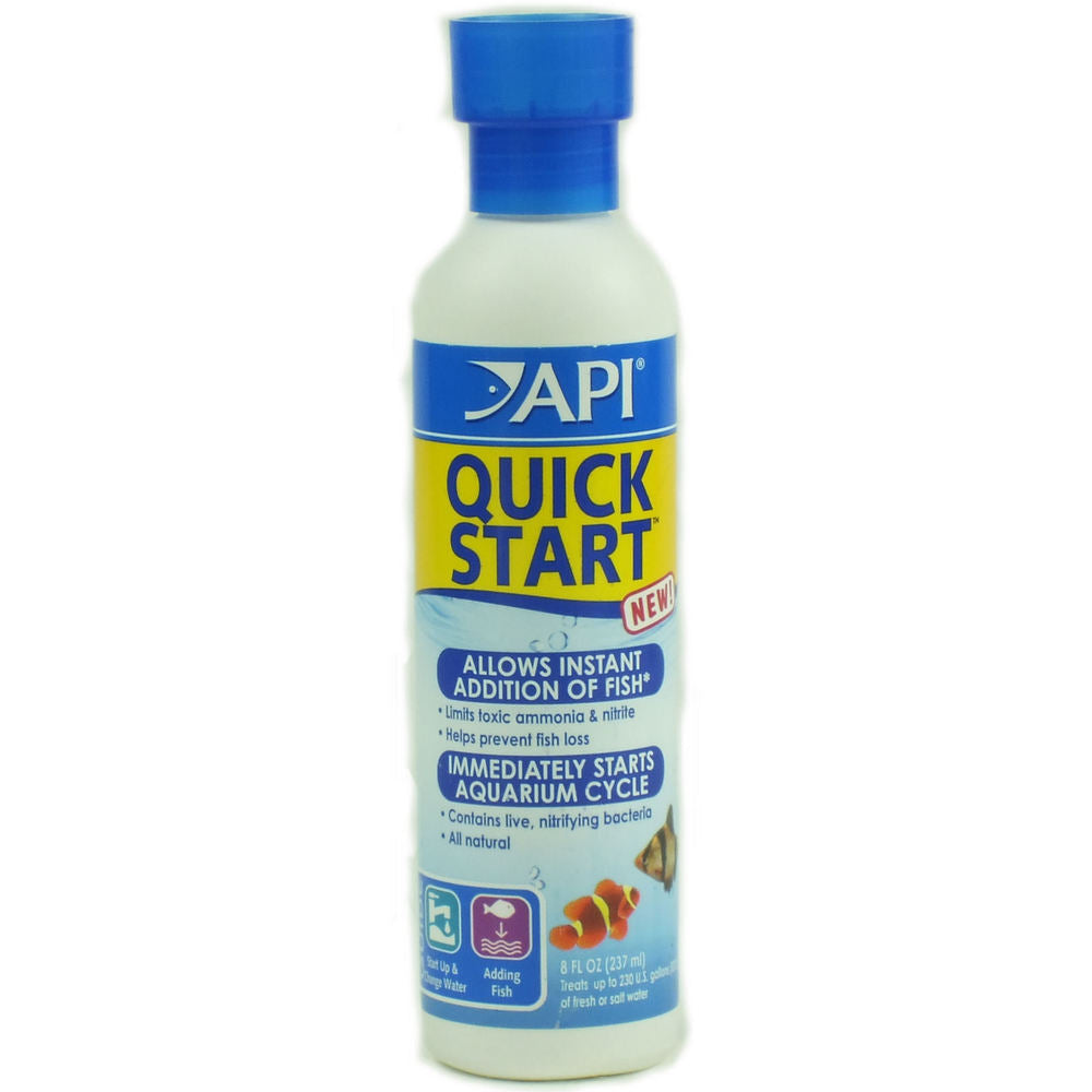 API Quick Start