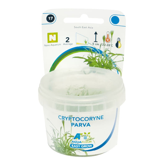 Aquafleur Cryptocoryne parva Easy Grow