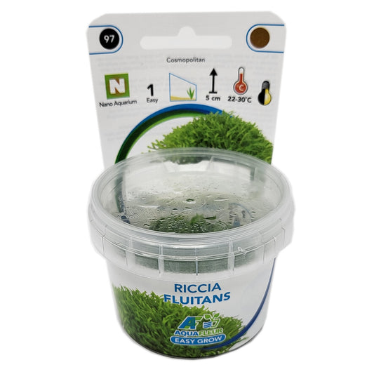 Aquafleur Riccia fluitans Easy Grow