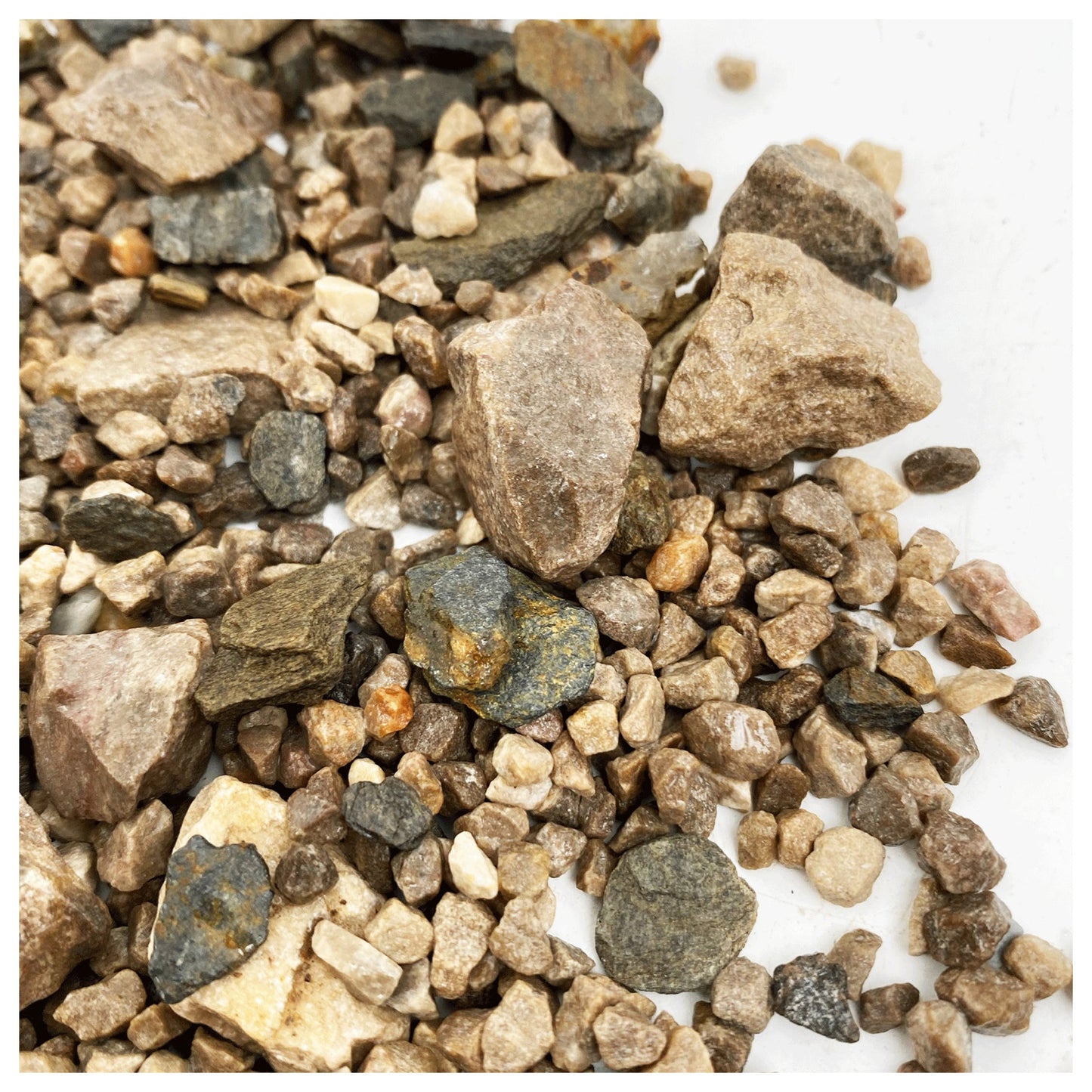 WIO Brown Accent 750g