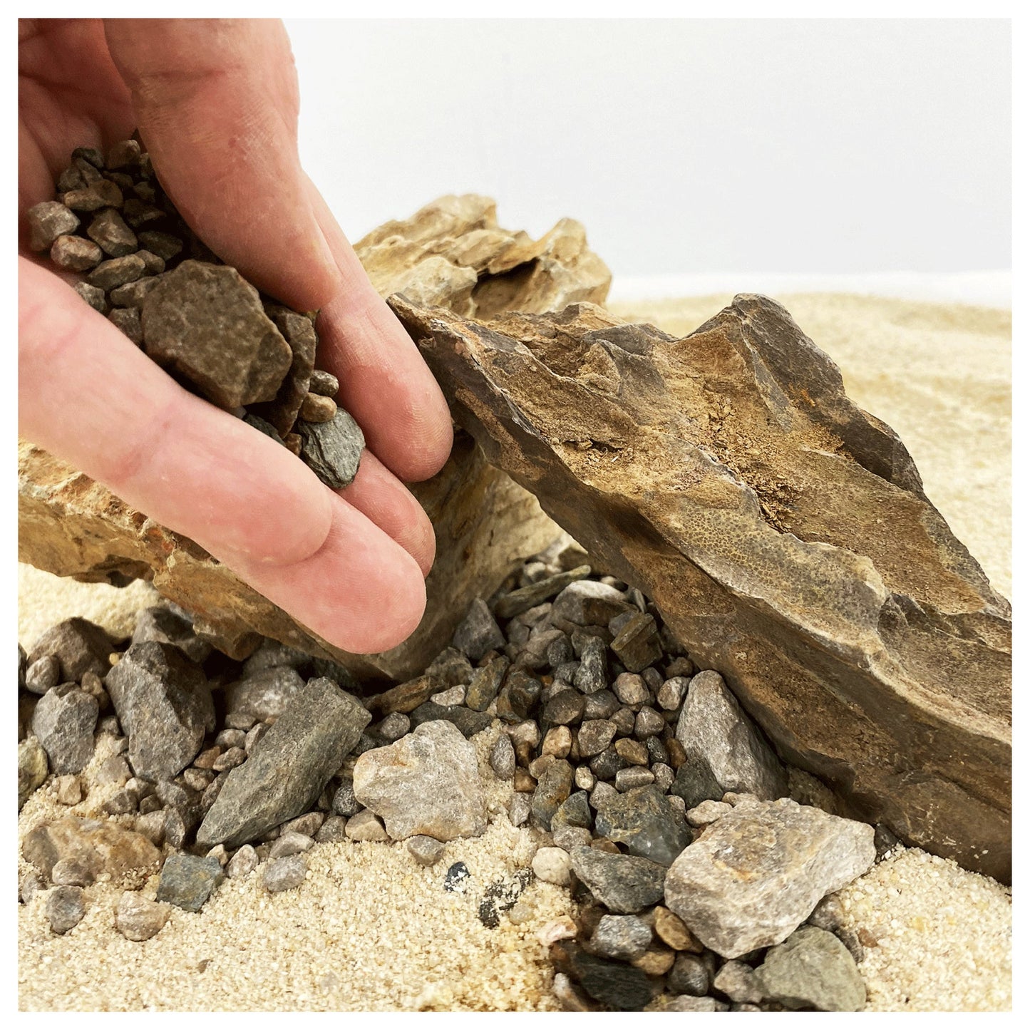 WIO Brown Accent 750g