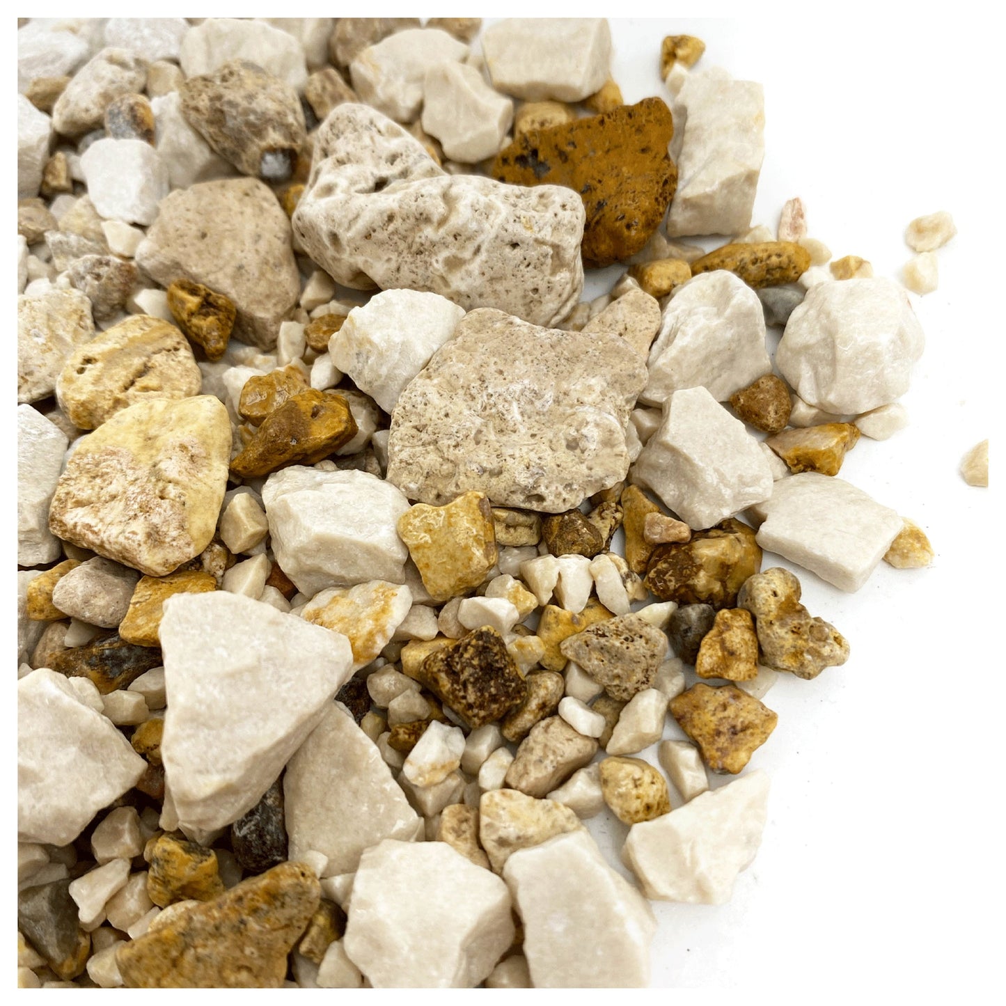 WIO Pale Accent 750g