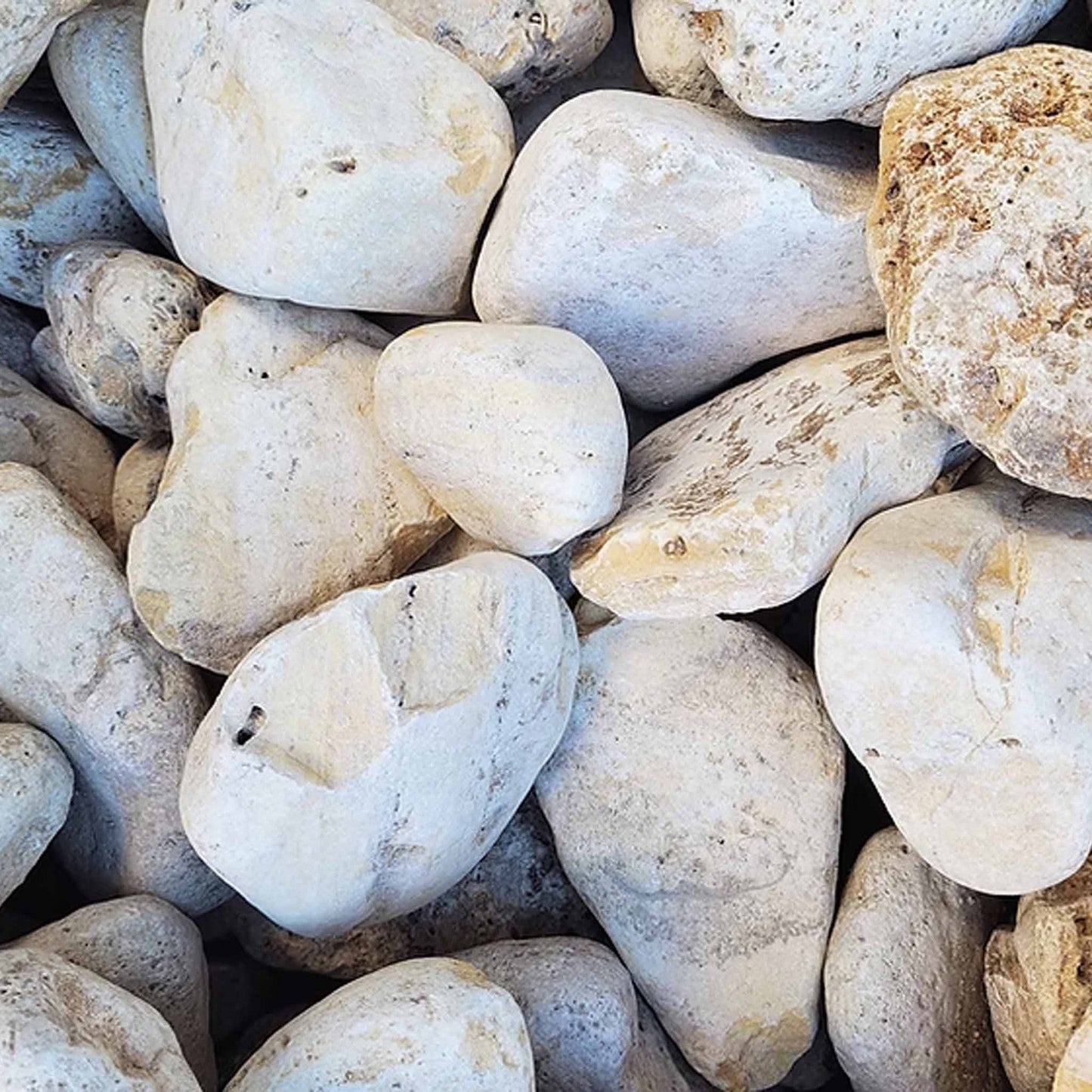 WIO White Adder Boulder Stone Nano Box 5kg