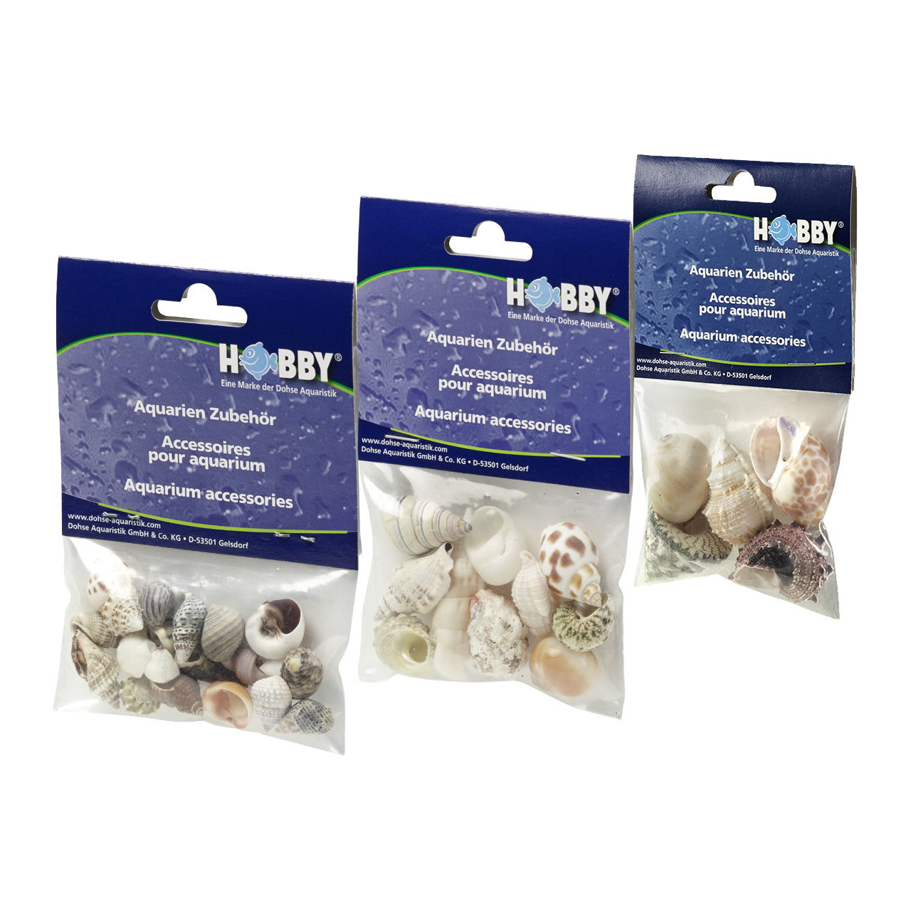 Hobby Shells Hobby Sea Shells - Natural Aquarium Decoration Snail Hides Hermit Crab ...