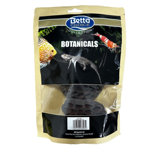 Betta Lotus Pods (x3)