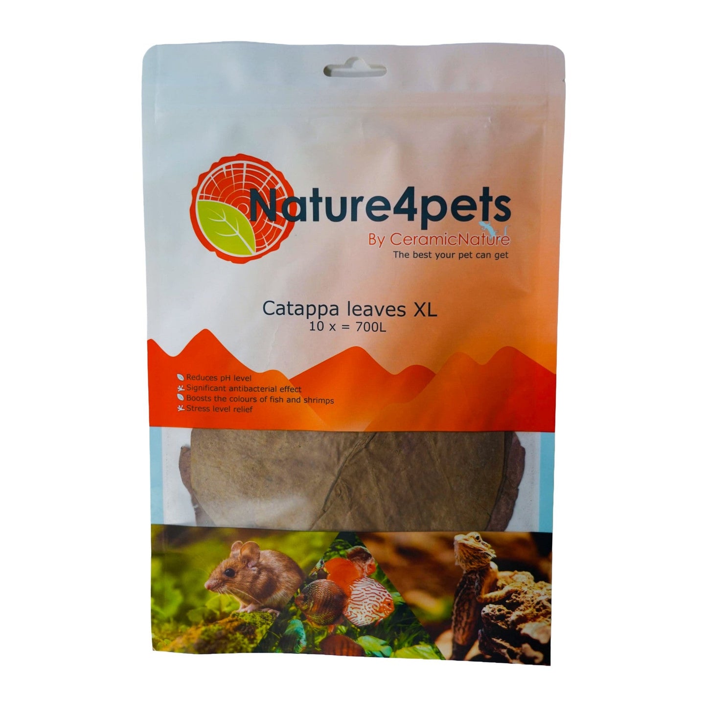 Ceramic Nature Catappa Leaves XL