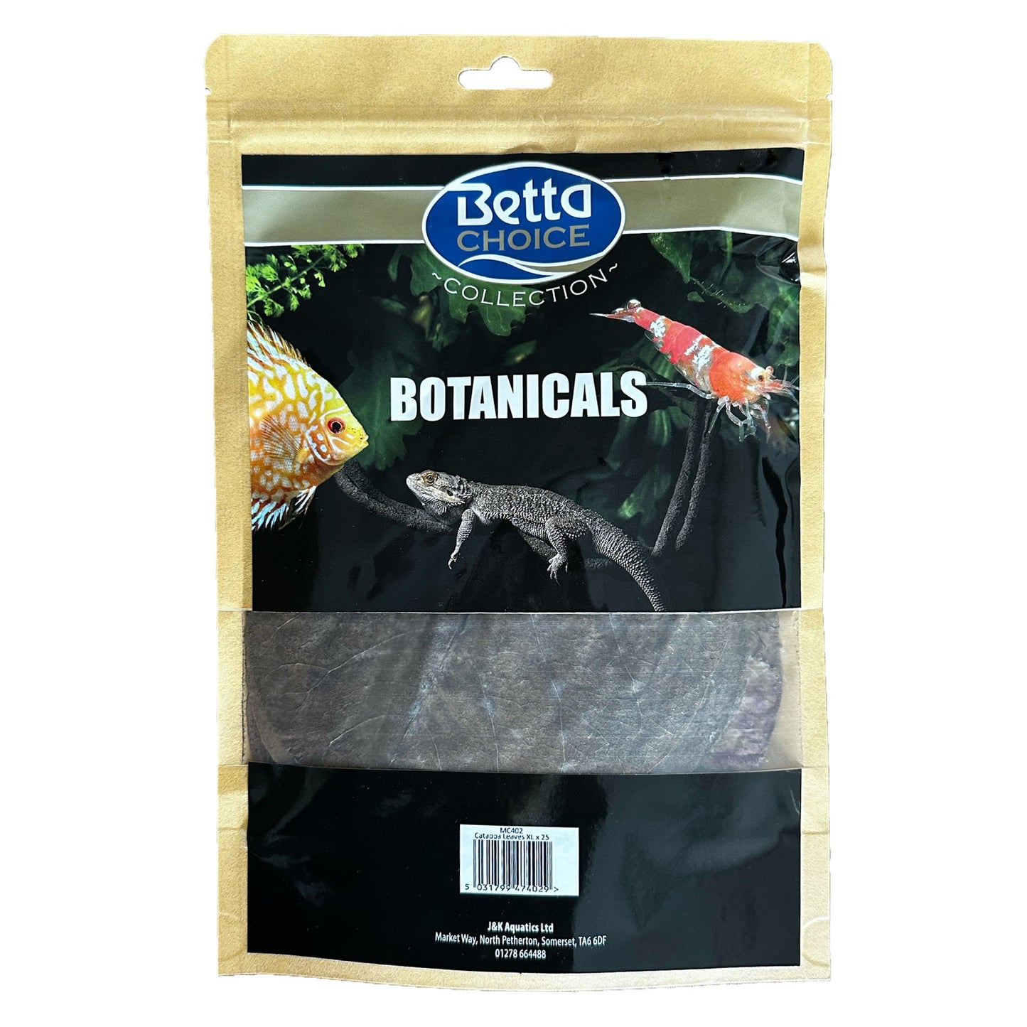 Betta Catappa XL Leaves (25 pcs)