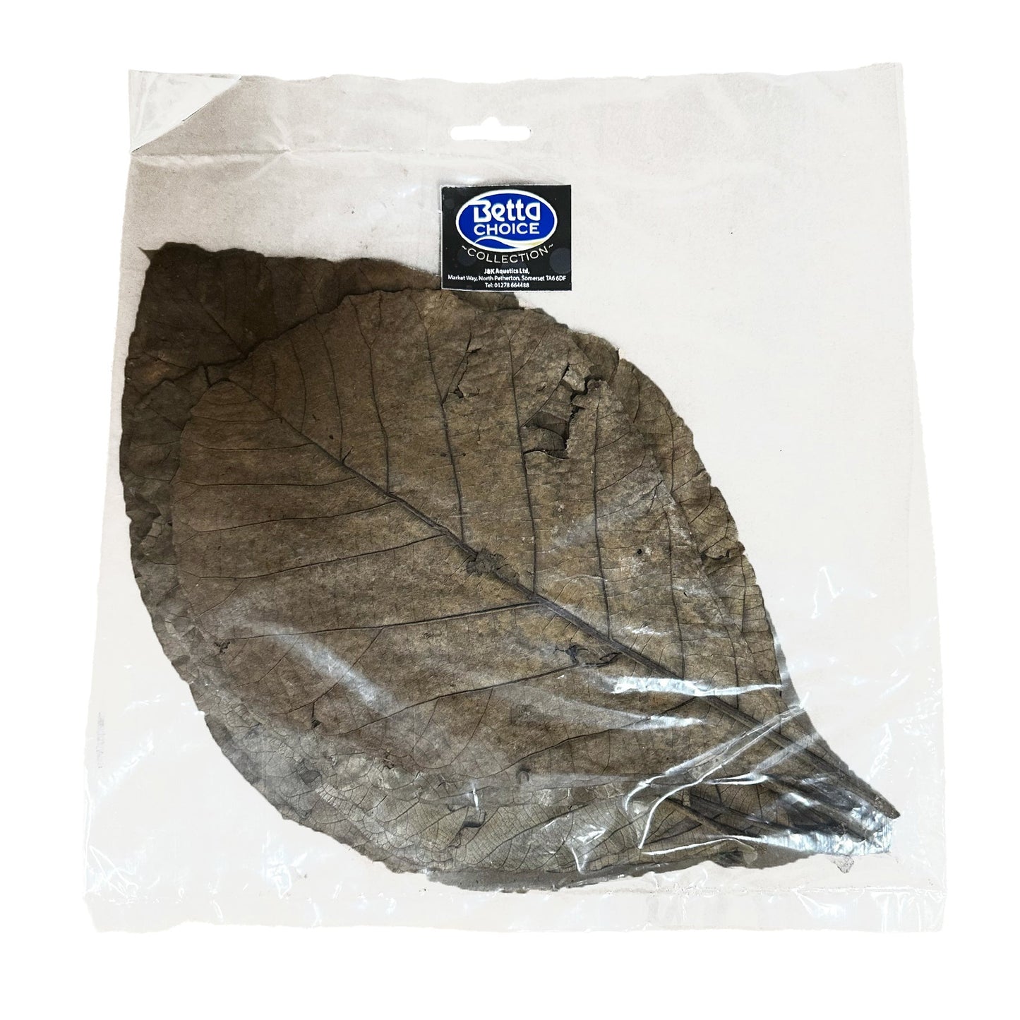 Betta Teak Leaves XL