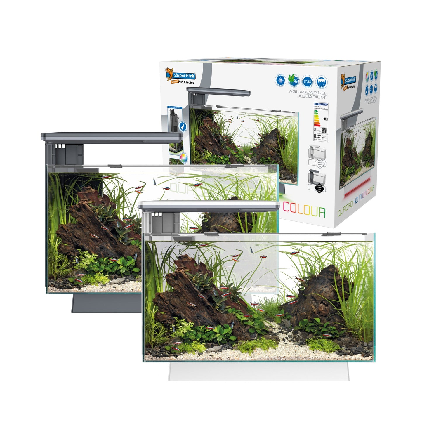 Superfish Quadro 40 Multi-Colour LED