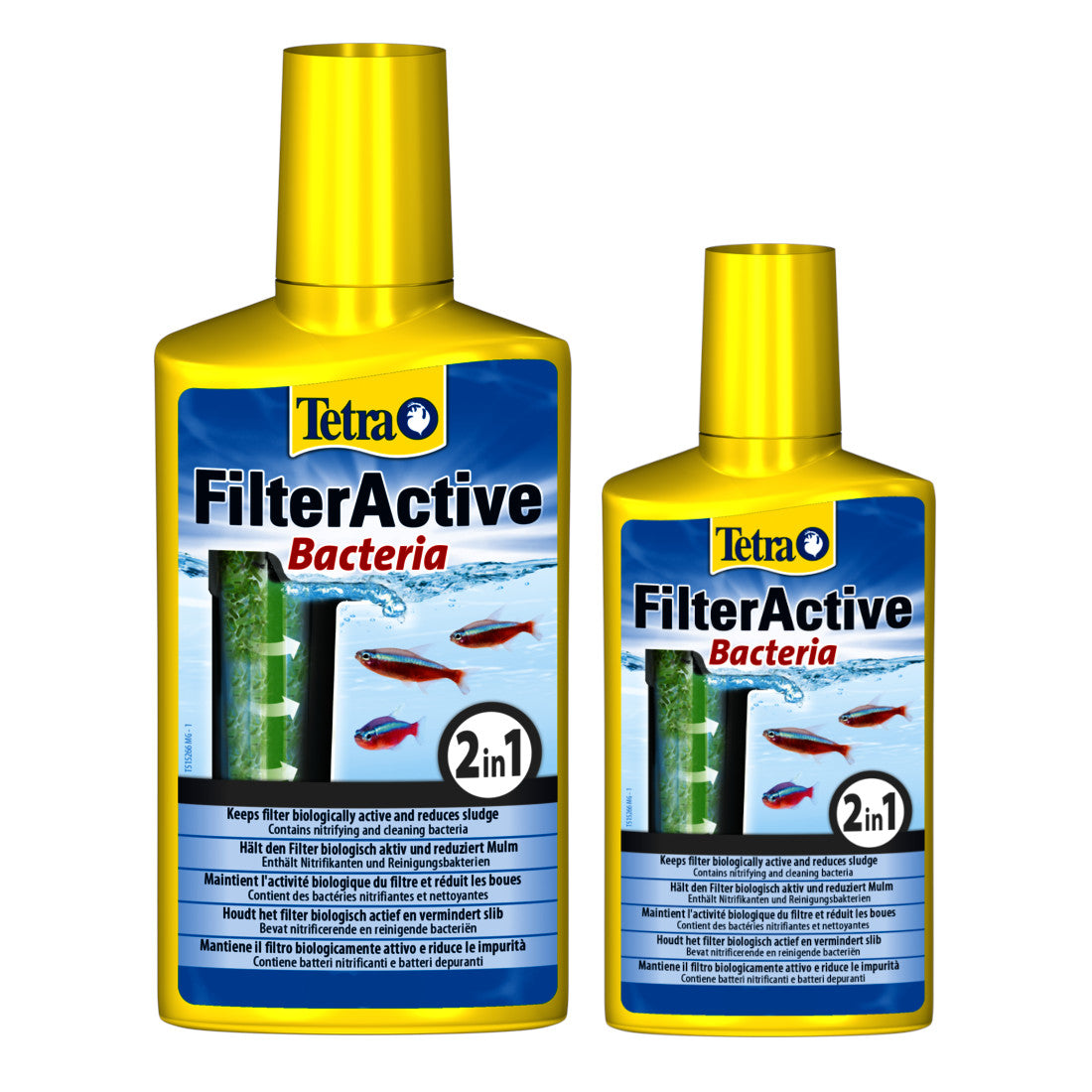 Tetra FilterActive