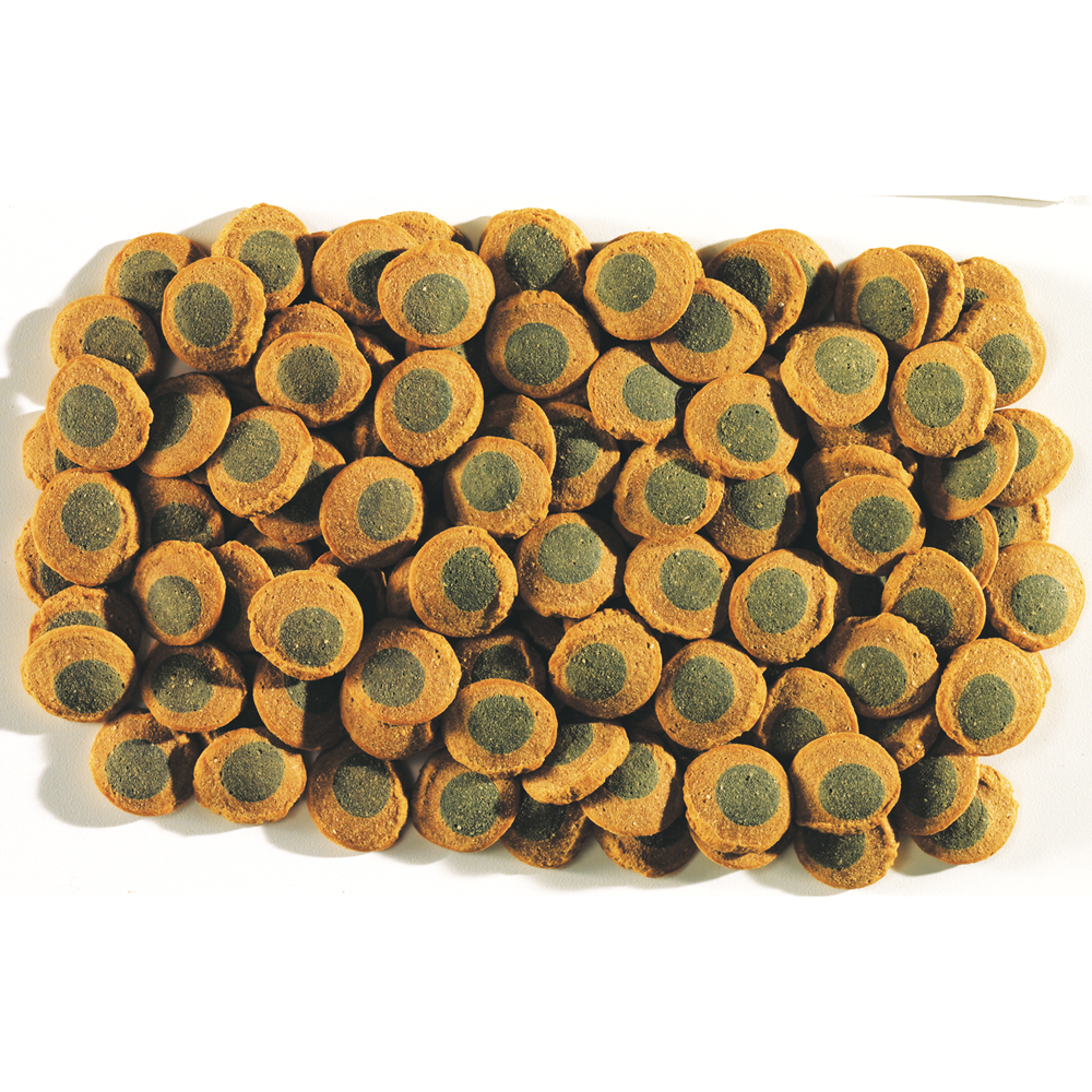 Tetra Pleco Spirulina Wafers