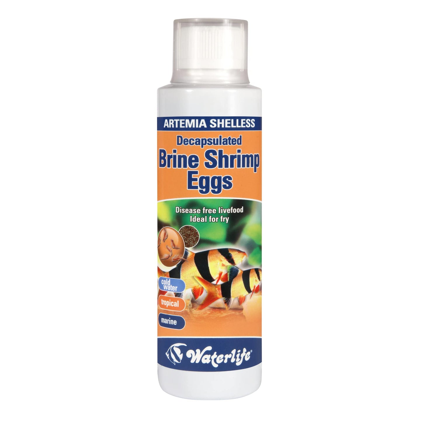 Waterlife Shelless Brine Shrimp Eggs